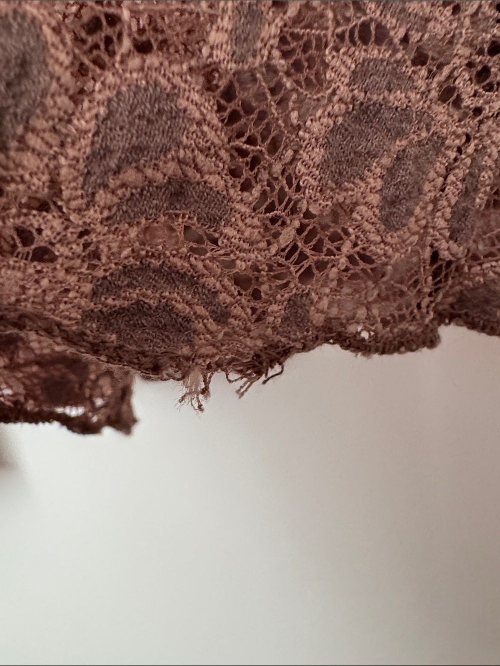 Forever 21 Light Brown Floral Lace Long Sleeve Sheer Top - Picture 4 of 9